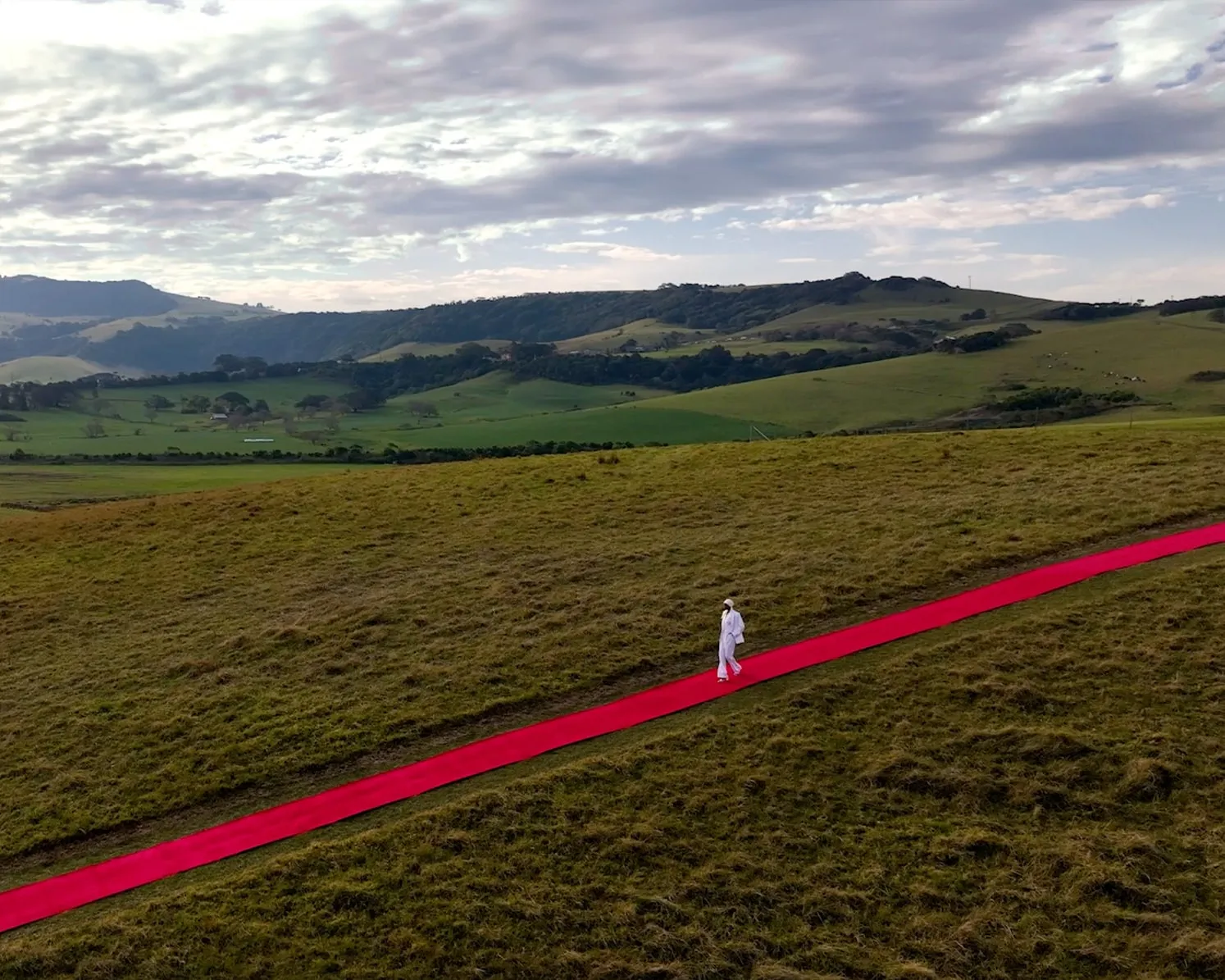 TARGET - Campaign and Runway Execution
