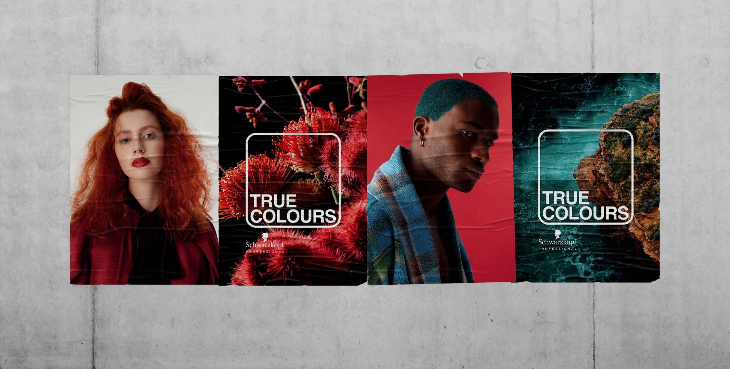 A row of four wheatpaste posters on a concrete wall. The posters feature a female model with red hair, a male model with blue hair, a red floral arrangement and a drone photograph of the ocean near a cliff-face. The posters are branded 'True Colours' - Schwarzkopf Professional